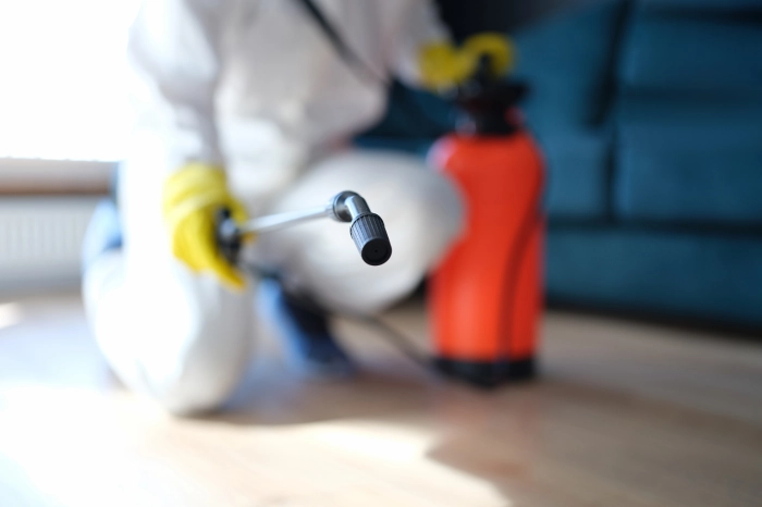 Apartment Disinfecting