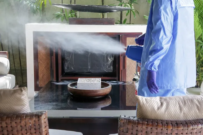 Fogging Service