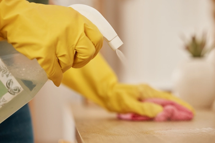 Sanitization Services